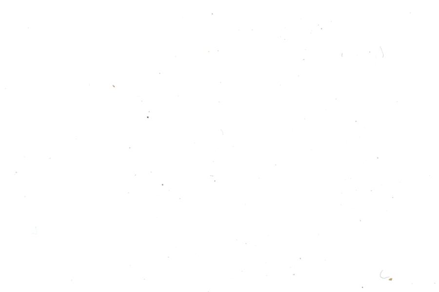 Image 41